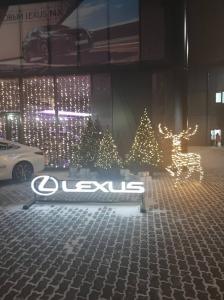 Фотография Медведь Премиум, дилер Lexus 5